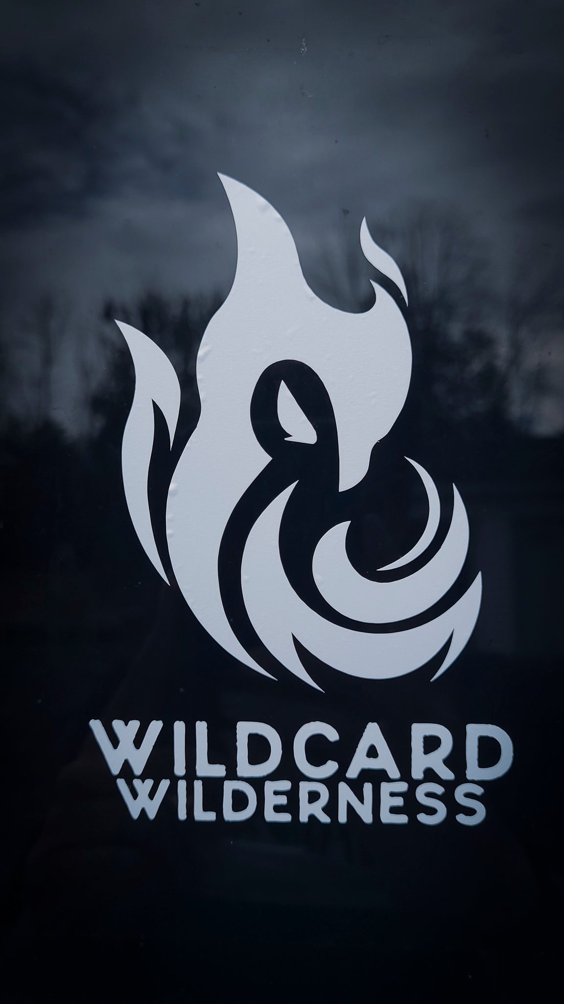 Wildcard Window Decal