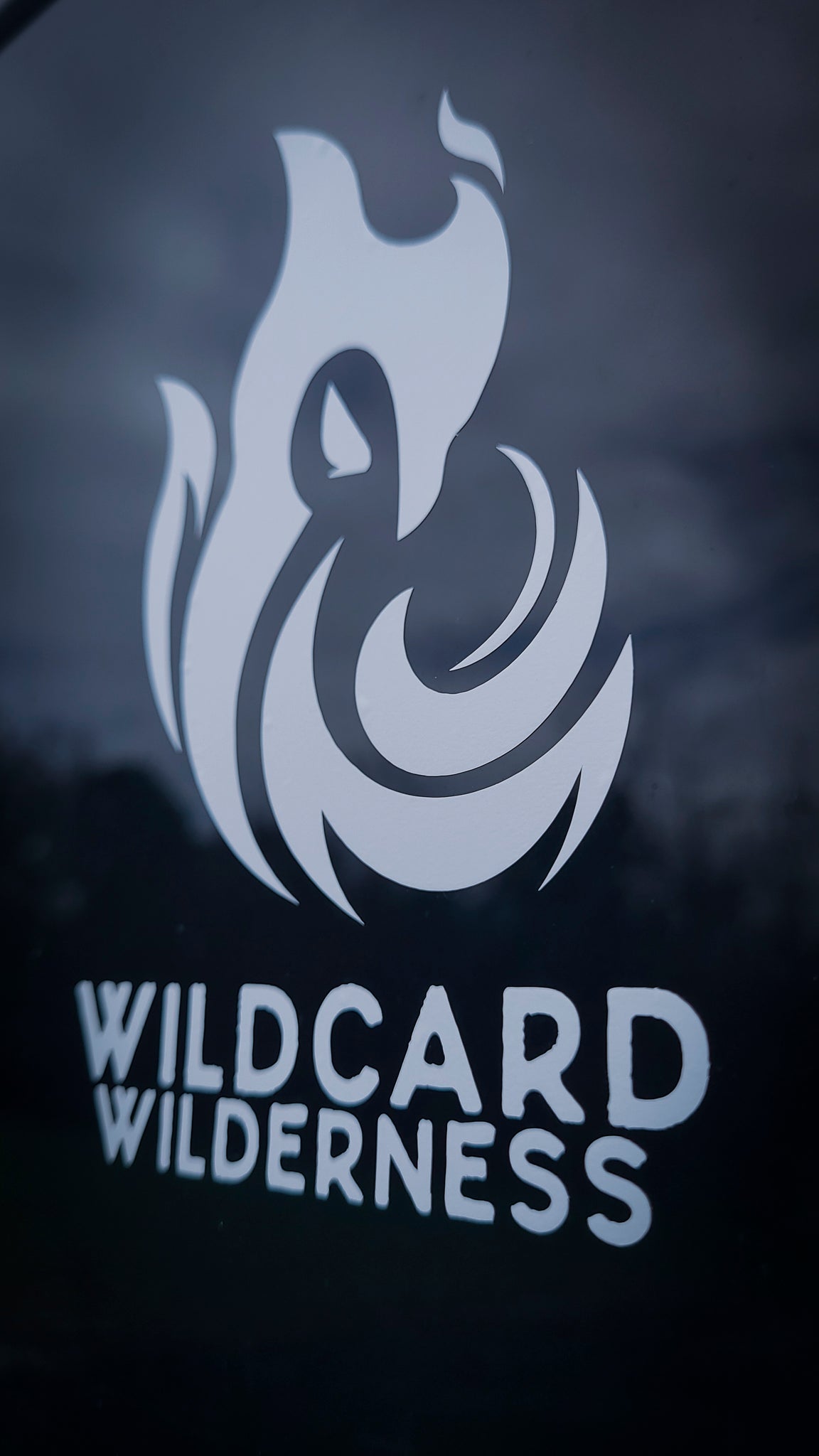 Wildcard Window Decal