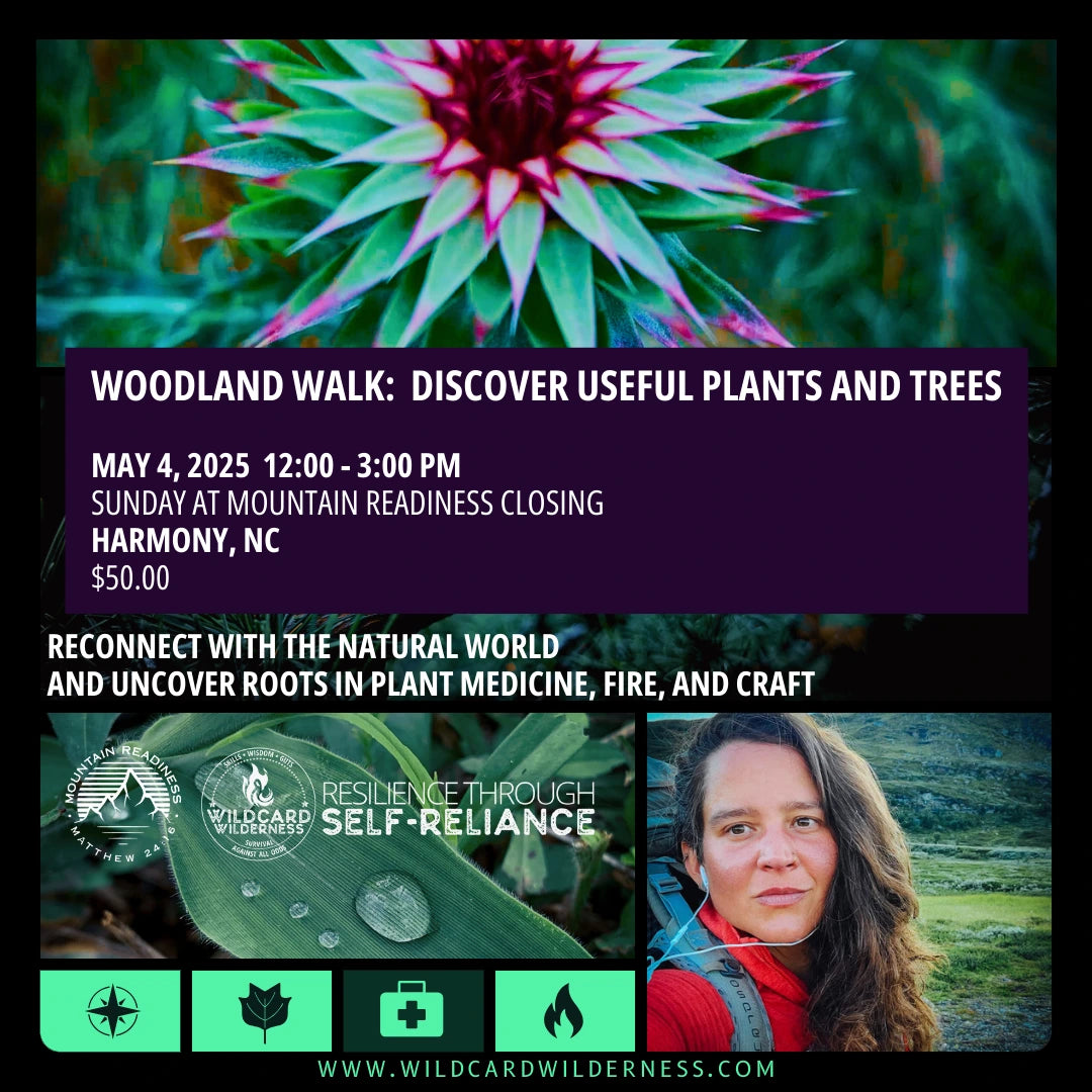 Woodland Walk: Discover Useful Plants and Trees